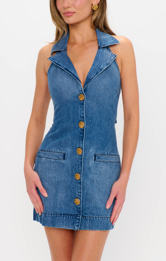 Darien Dress ~ Bluebird